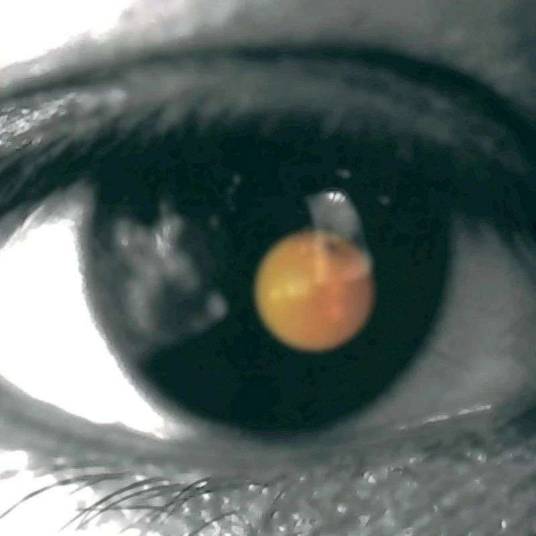 MELODY(2002年陶喆演唱的歌曲)