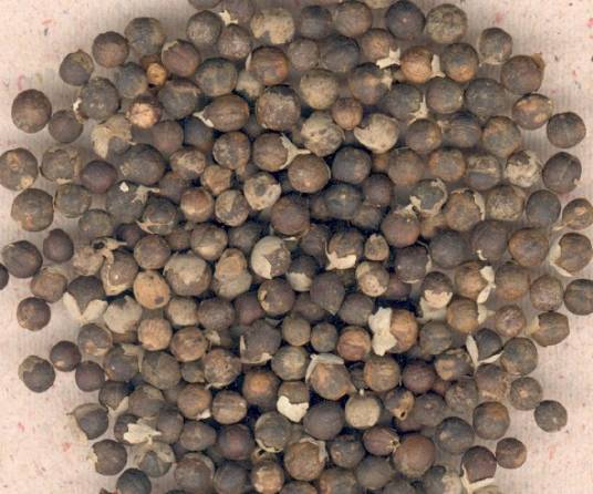 蔓荆子（中药）