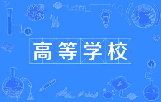 高等学校(实施高等教育的学校)