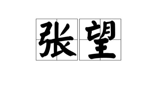 张望（词语释义）