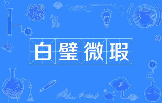 白璧微瑕（汉语成语）