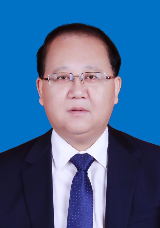 张向阳（陕西省武功县委副书记）