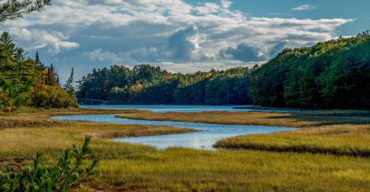 阿卡迪亚(加拿大地名)