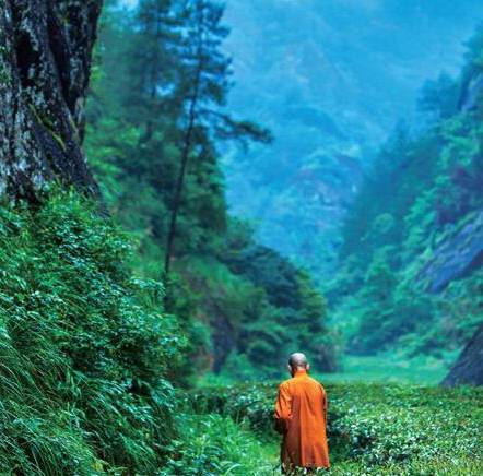 阿兰若（佛教用语）