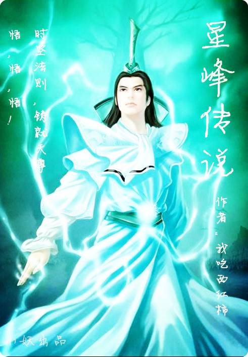 星峰传说(我吃西红柿创作奇幻修真类网络小说)