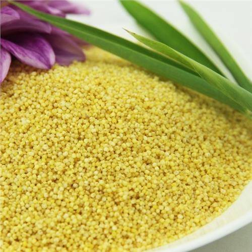 黄粱（粮食作物）