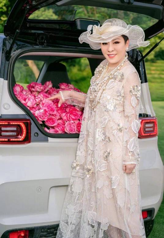 陈岚（中国香港女制片人、经纪人、投资家、中国星集团副主席）