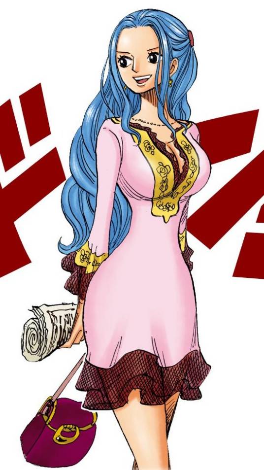 奈菲特·D·薇薇(日本漫画《航海王》及其衍生作品中的角色)