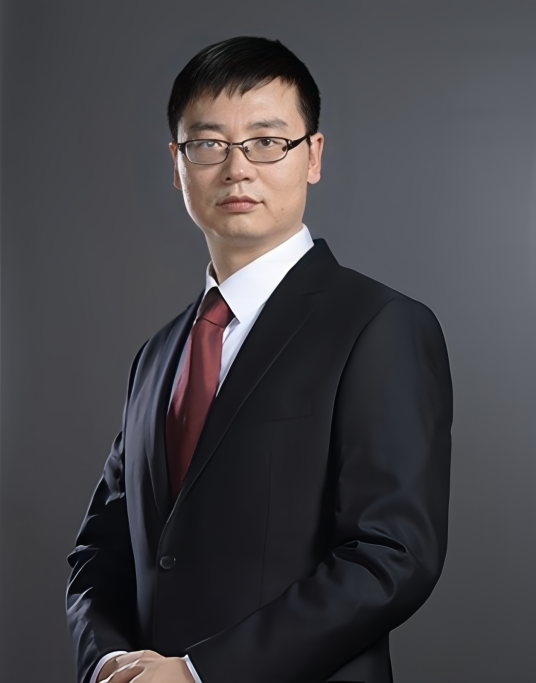 冯雪（欧洲科学与艺术院院士，浙江清华柔性电子技术研究院院长，清华大学长聘教授、博士生导师）