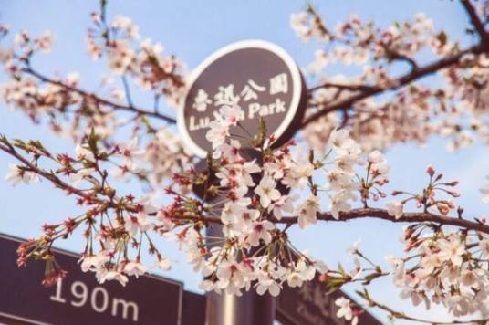 鲁迅公园（上海市国家AAA级旅游景区）