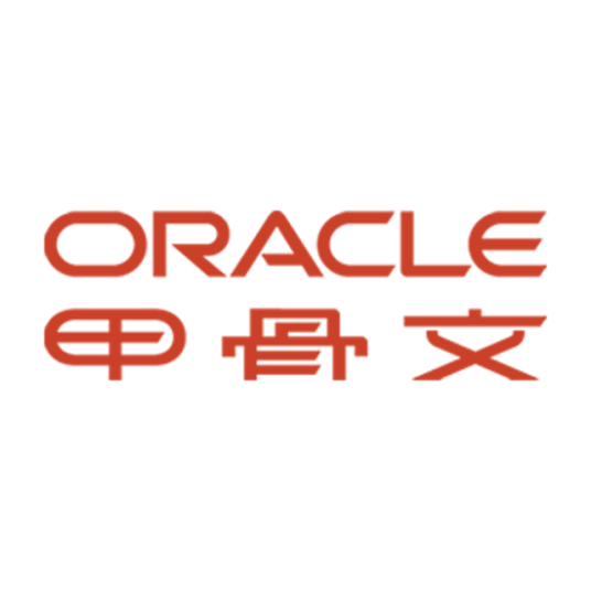 Oracle（甲骨文公司）