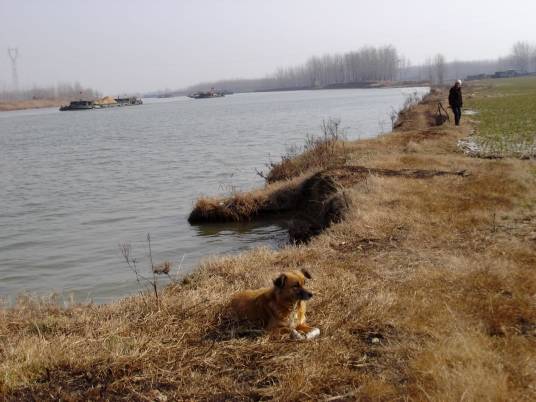 河畔(汉语词语)