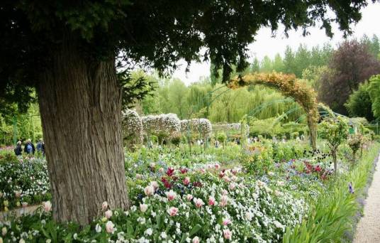 莫奈花园（法国画家莫奈故居）