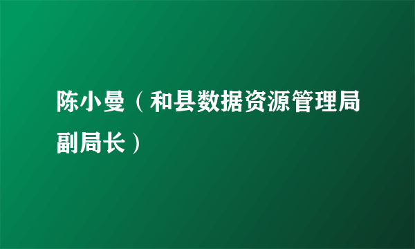 陈小曼（和县数据资源管理局副局长）