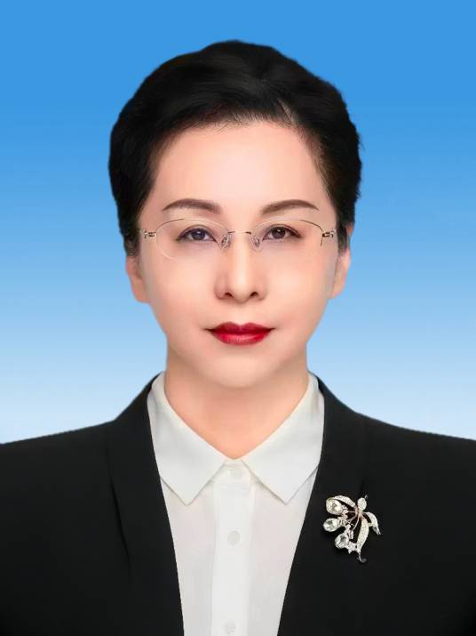 张莉(第十四届全国政协委员,民革黑龙江省委会副主委,黑龙江省政协常委)