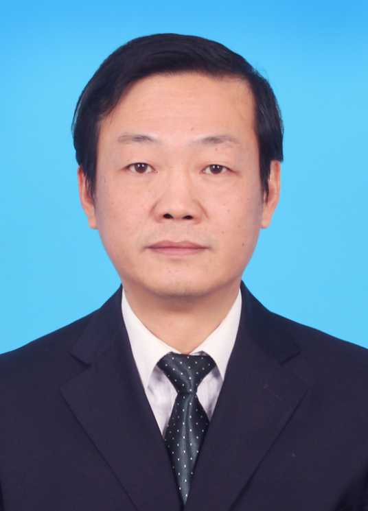 徐辉(武汉市第十五届人民代表大会社会建设委员会副主任委员)