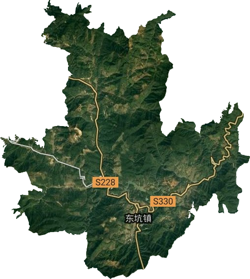 东坑镇(浙江省丽水市景宁畲族自治县辖镇)