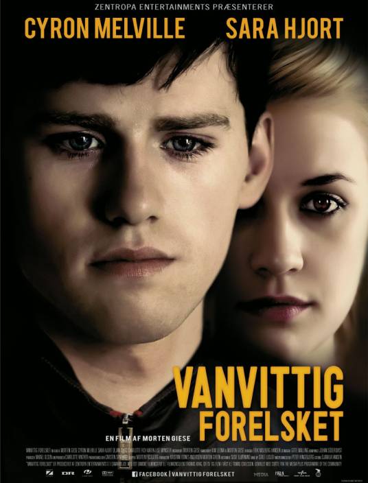 疯狂的爱（2009年丹麦爱情电影）