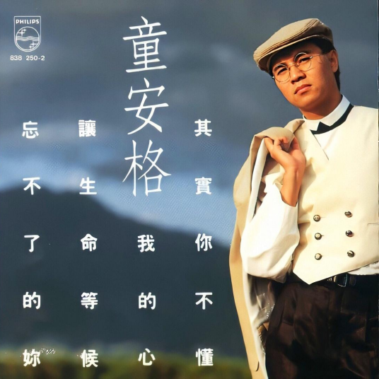其实你不懂我的心(1989年童安格发行的音乐专辑)