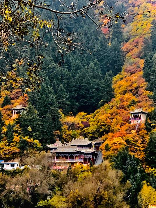 兴隆山国家级自然保护区