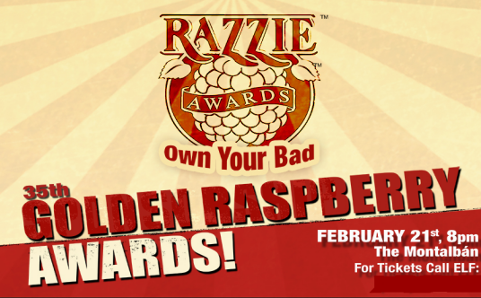 第35届金酸莓奖