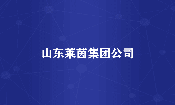 山东莱茵集团公司