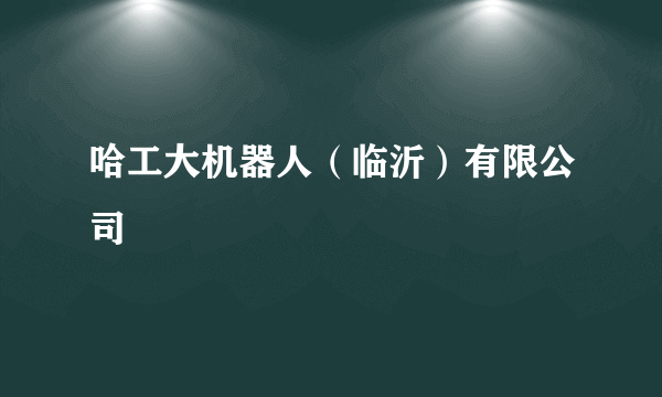 哈工大机器人（临沂）有限公司