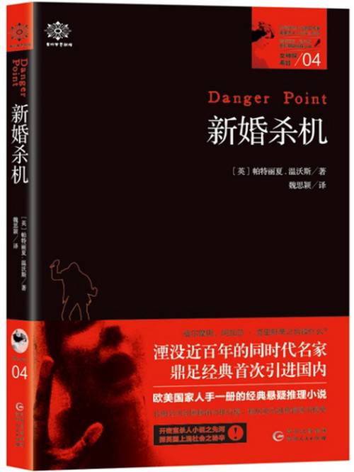 女神探系列04：新婚杀机