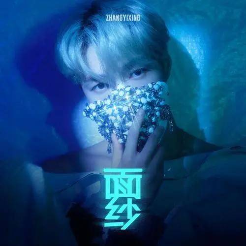 面纱(2022年张艺兴演唱的歌曲)