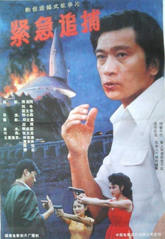 紧急追捕（1990年韩小磊执导的警匪电影）