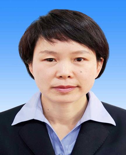 卢静(江苏省南京市栖霞区副区长)