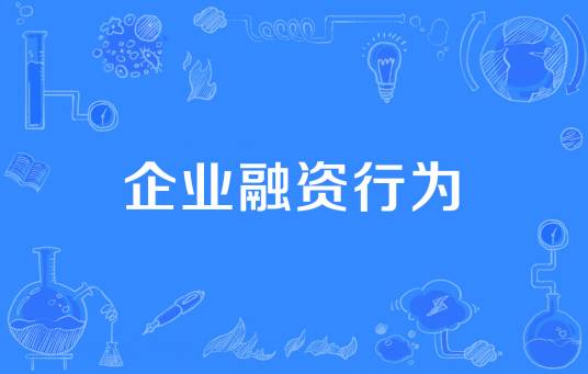 企业融资行为