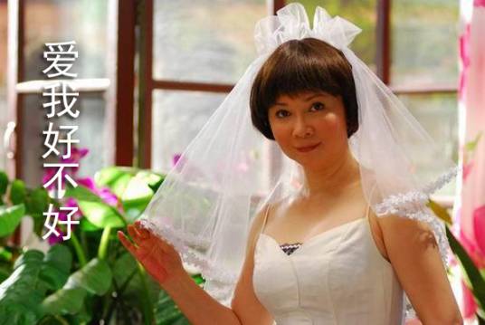 爱我好不好(2009年天津电视台电视剧制作中心制作电视剧)