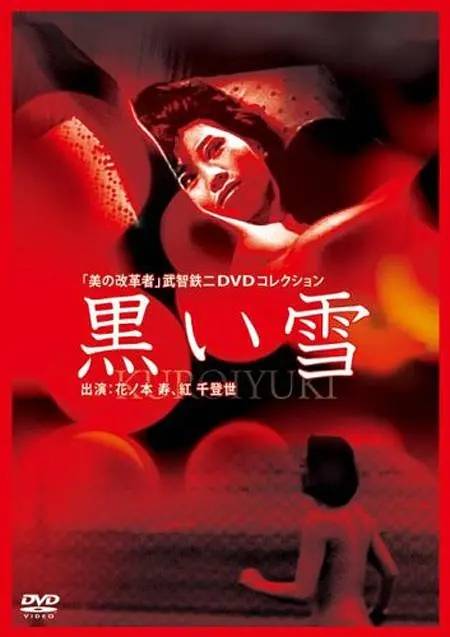 黑雪（1965年武智鉄二导演的电影）