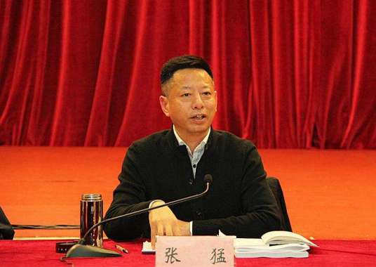 张猛(湖北省政府参事)