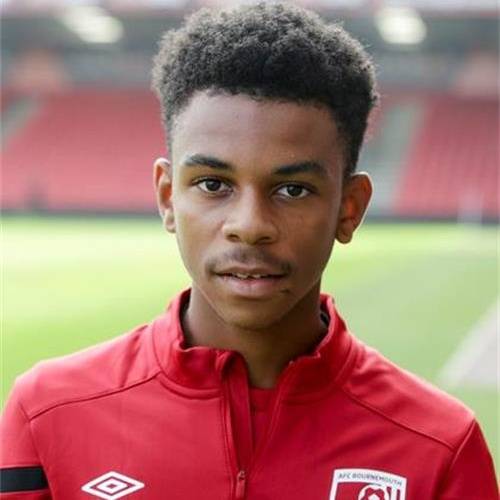 威廉斯(2003年生英格兰足球运动员)