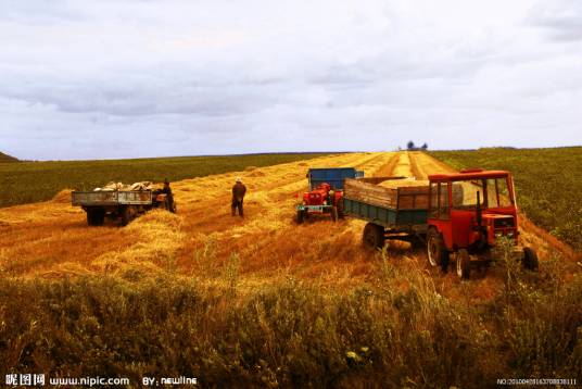 收获的季节(美国迈克尔·R·希克斯著悬疑小说)
