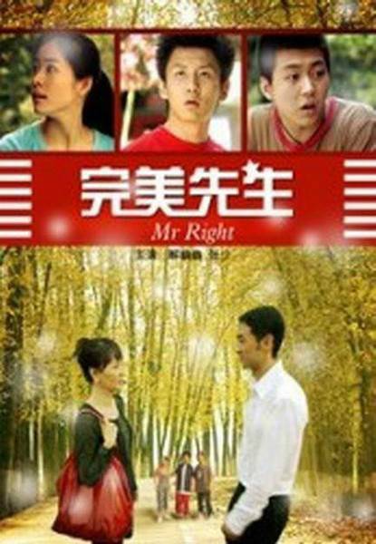 完美先生（2007年李海涛执导的爱情、剧情类电影）