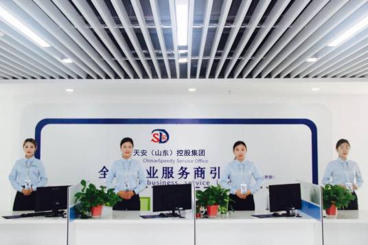 天安(山东)控股集团有限公司