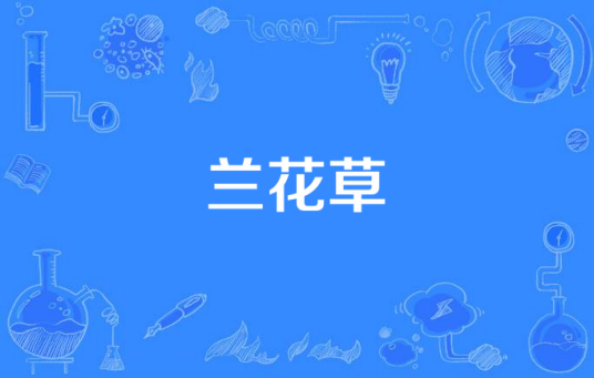 兰花草(三十集电视剧《兰花草》)