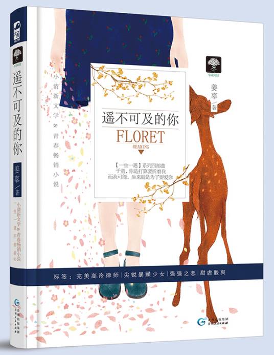 遥不可及的你（2016年贵州人民出版社出版的图书）