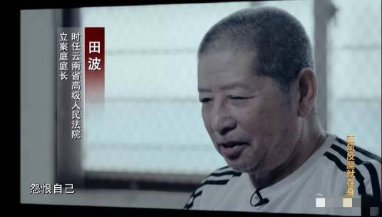 田波（云南省高院原副厅级专职审判委员会委员）