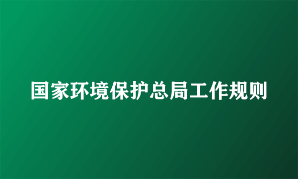 国家环境保护总局工作规则