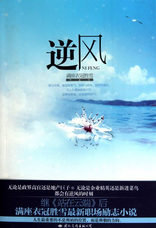 逆风(2009年珠海出版社出版的图书)