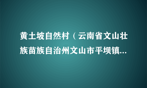 黄土坡自然村（云南省文山壮族苗族自治州文山市平坝镇平坝行政村辖自然村）