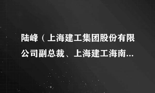 陆峰(上海建工集团股份有限公司副总裁、上海建工海南区域总部总裁)