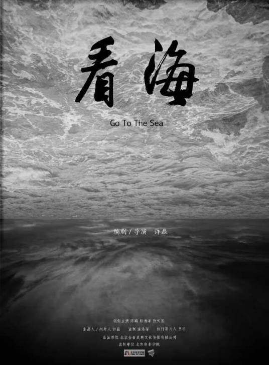 看海（许磊执导电影）