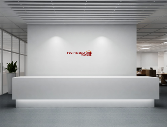 飞呀文化传媒（杭州）有限公司