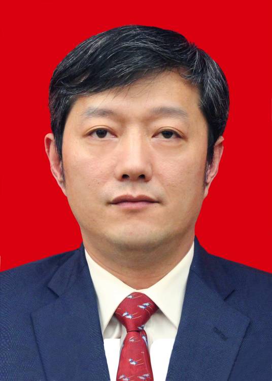 朱涛(上海市第十五届人民代表大会代表)