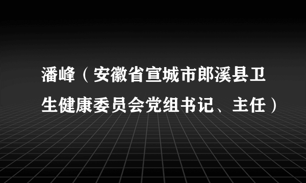 潘峰（安徽省宣城市郎溪县卫生健康委员会党组书记、主任）